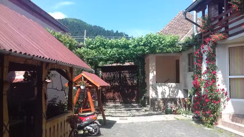 Pensiunea Razvan Gura Raului