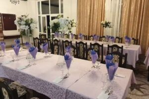 Pensiunea-restaurant LEO