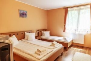 Pensiunea-Restaurant Páva