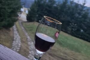 Pensiunea Robert Paltinis