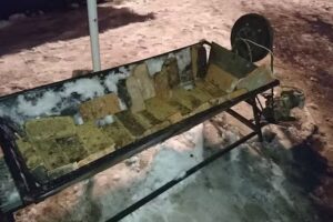 Pensiunea Ronișoara