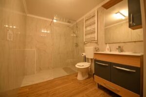 Pensiunea Sarmis – Sarmizegetusa