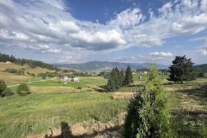 Pensiunea Saru Bucovinei