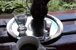 Pensiunea Serban Gica