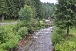 Pensiunea Simona Arieseni