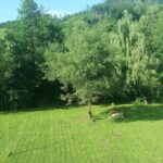 Pensiunea Steaua Nordului