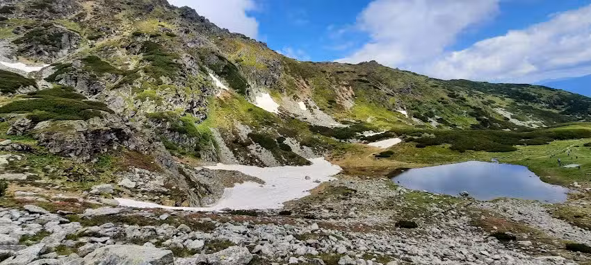 Pensiunea Steaua Nordului