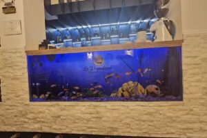 Pensiunea Strajerii Cetatii