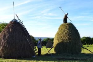 Pensiunea Sub Creasta Cocoşului Breb