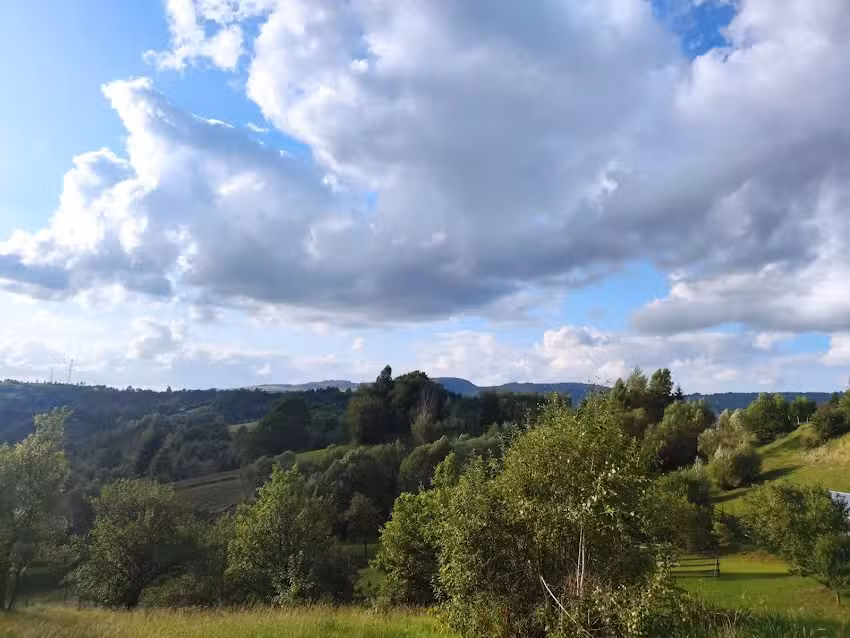 Pensiunea Trei Lalele