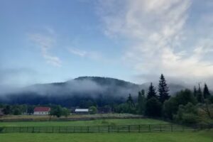 Pensiunea Trei ursuleți