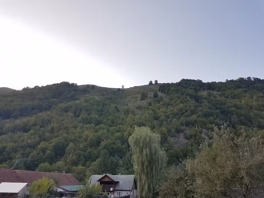 Pensiunea Turistica Lucian