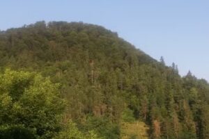 Pensiunea Turistica Melania