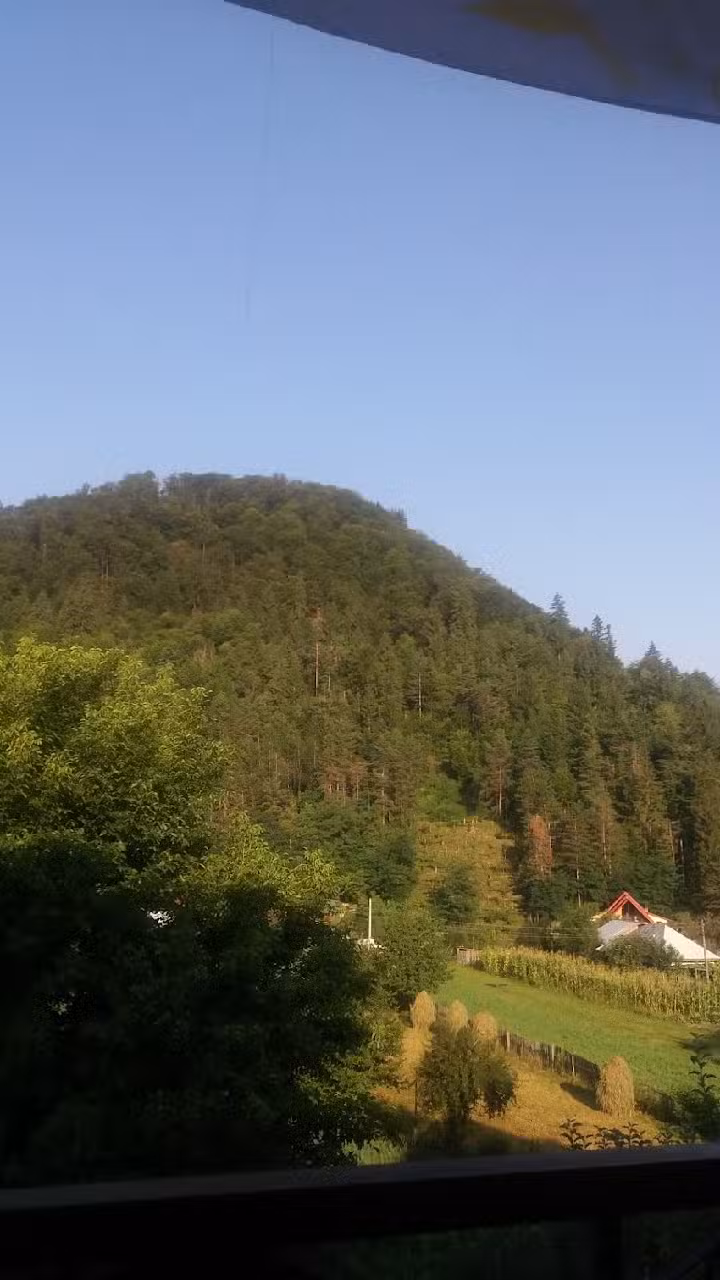 Pensiunea Turistica Melania