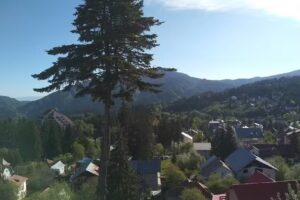 Pensiunea turistica Milcov-Vladet