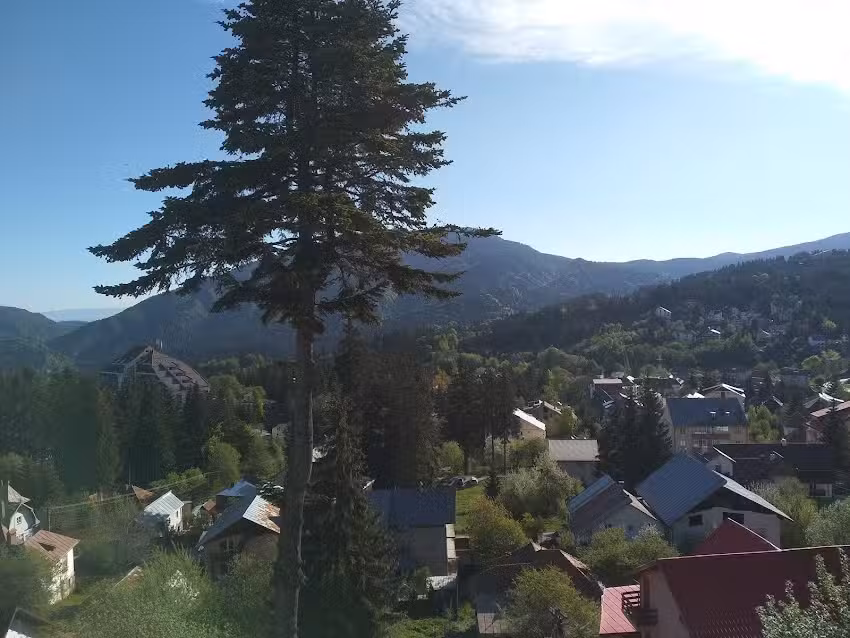 Pensiunea turistica Milcov-Vladet