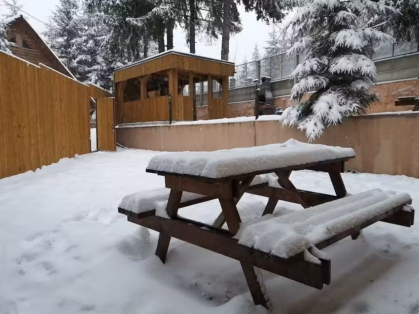 Pensiunea turistica Oxygen Resort Baisoara