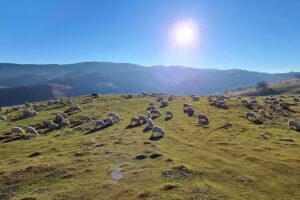 Pensiunea Turistică Vălari