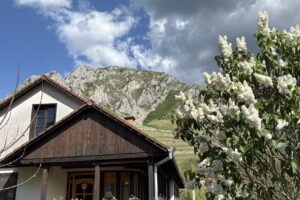 Pensiunea Vajda Adriana