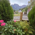 Pensiunea Valea Alba