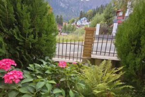 Pensiunea Valea Alba