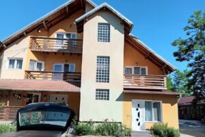 Pensiunea Valea Badilii