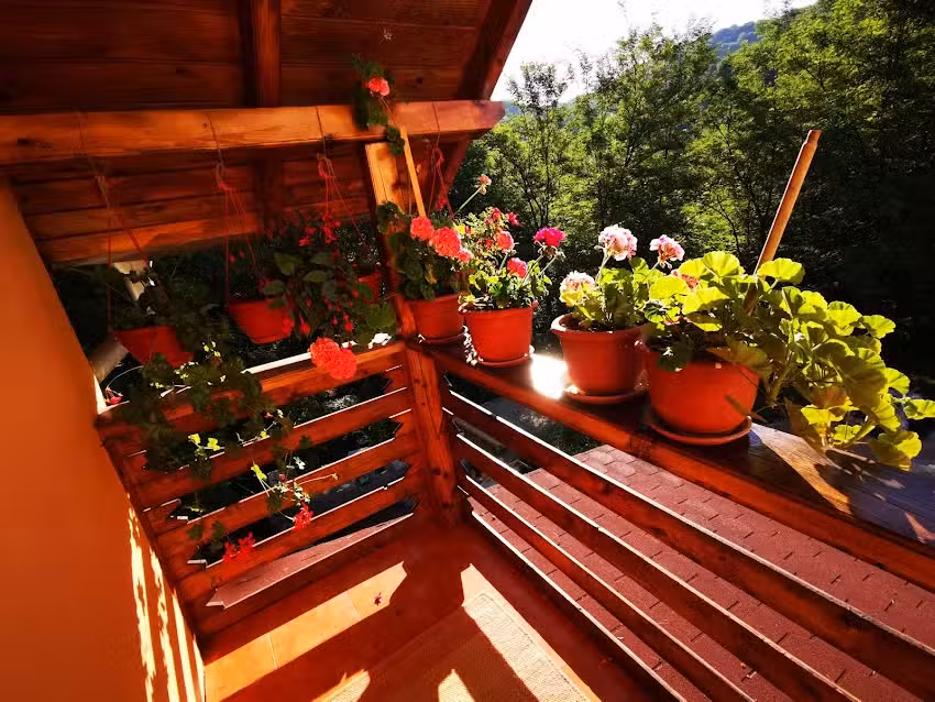 Pensiunea Valea Badilii