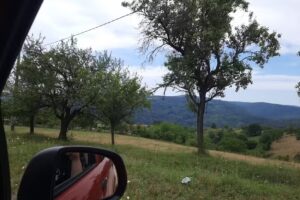 Pensiunea Valea Beiului