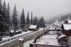 Pensiunea VALEA BRAZILOR