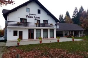 Pensiunea Valea Lisei