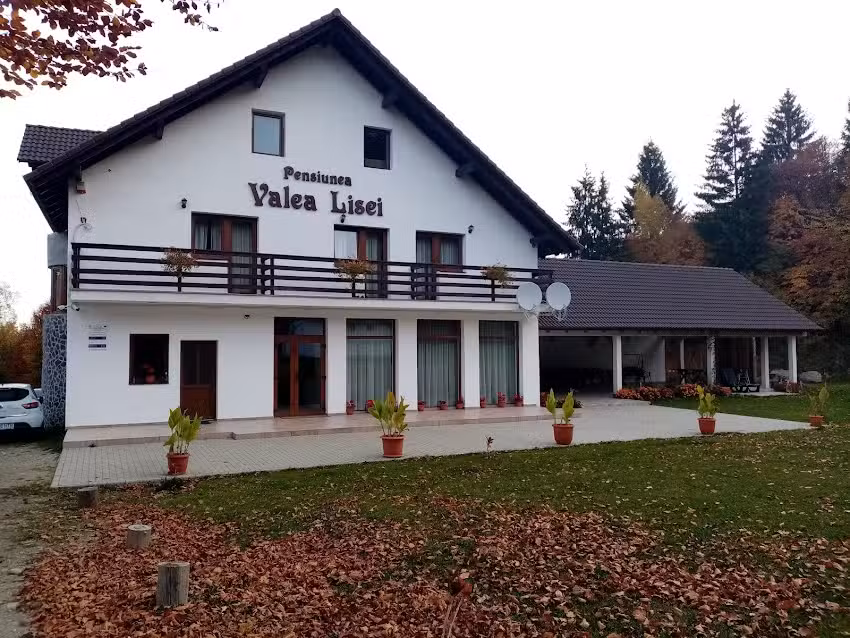 Pensiunea Valea Lisei