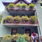 Pensiunea Valea Paradisului