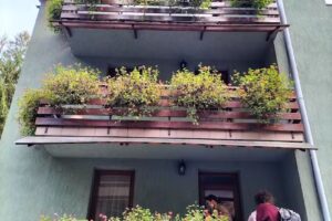 Pensiunea Valea Paradisului