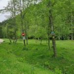 Pensiunea Valea Simonului