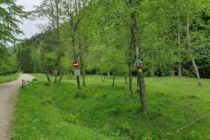 Pensiunea Valea Simonului