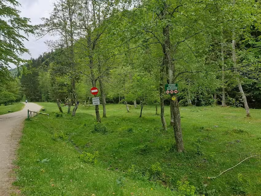 Pensiunea Valea Simonului