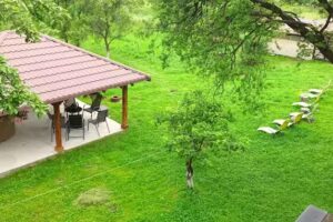 Pensiunea Valea Ursului