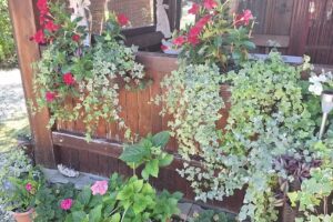 Pensiunea Valery House