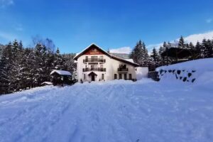 Pensiunea Vânătorul