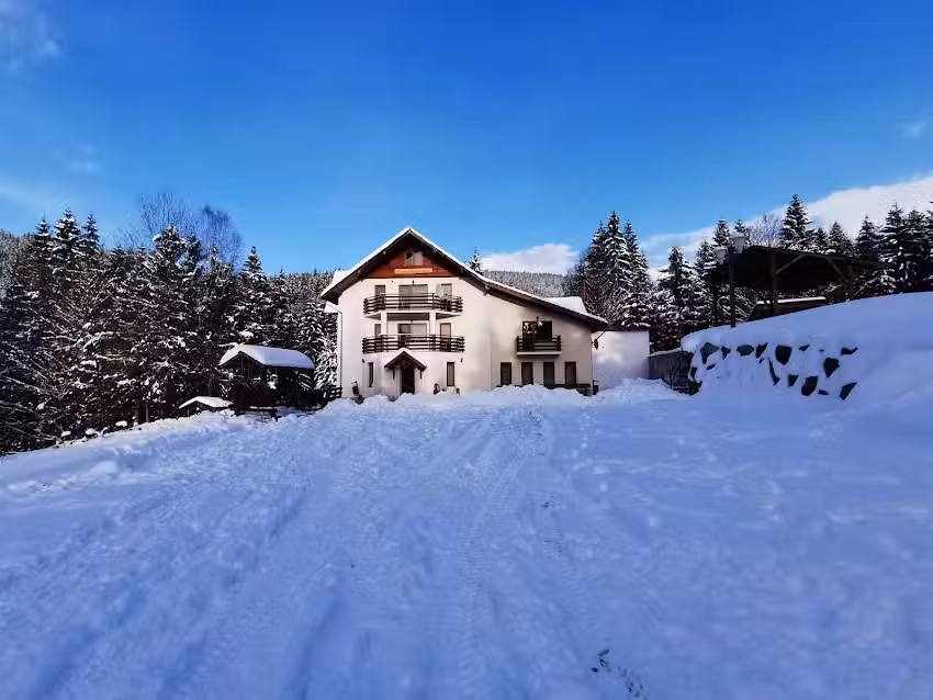 Pensiunea Vânătorul