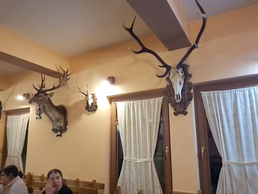 Pensiunea Vânătorul