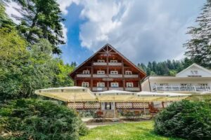 Pensiunea Vânătorul