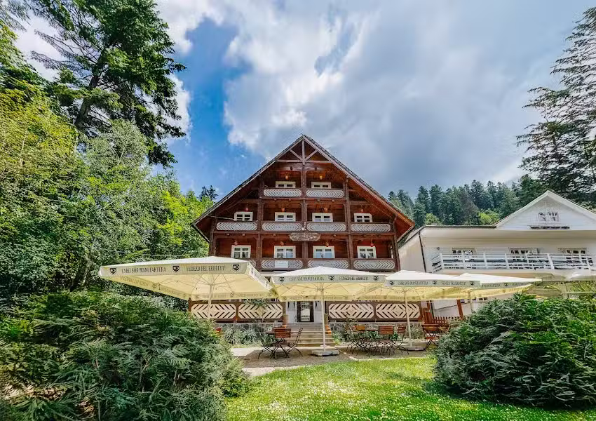 Pensiunea Vânătorul