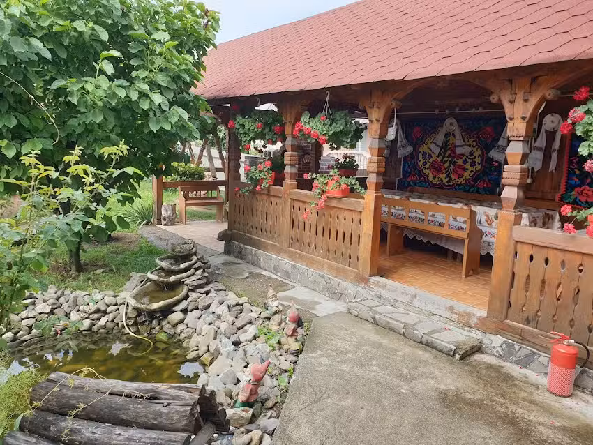 Pensiunea Vasilică Ceterașu