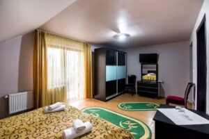 Pensiunea Veronica Tarlungeni, Brasov