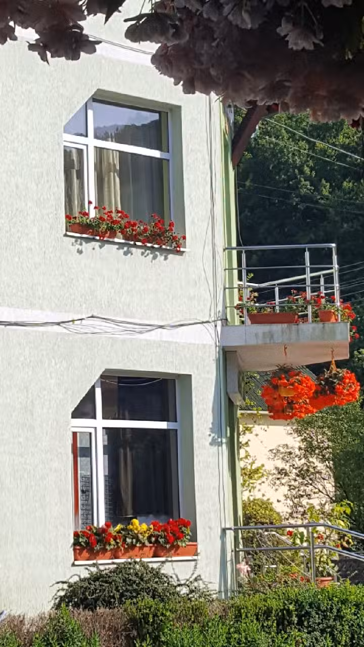Pensiunea Vidra