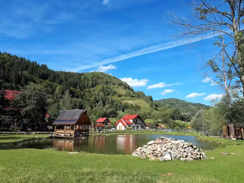 Pensiunea Vidra de Sus