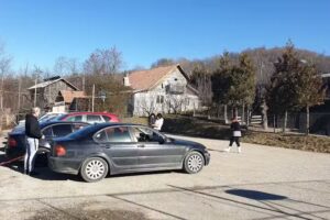 Pensiunea vila Badea