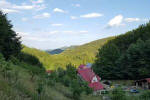 Pensiunea Vila Cerbul