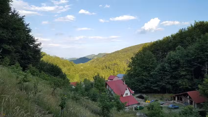 Pensiunea Vila Cerbul